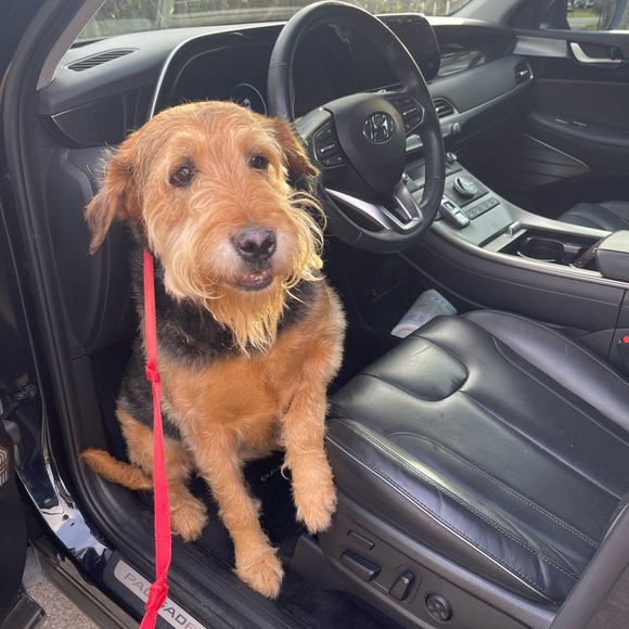 MEET YOUR POSHER - Picture 3 of 5